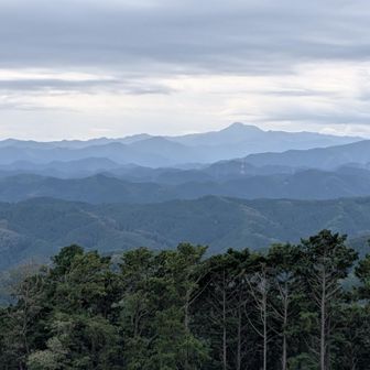 高指山からの景色