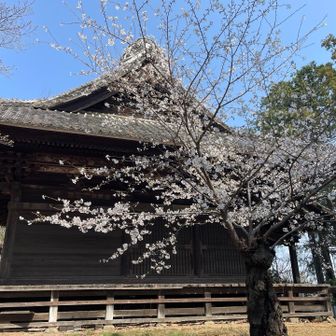 帰り道にグレーピークが2座ありましたので寄りました。
