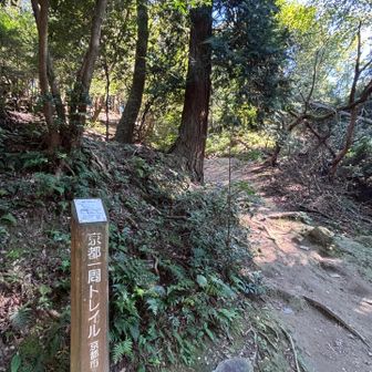 もうすぐ三角点