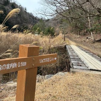 森の案内所からスタート▶️
ここまでの道は大変でした😅
