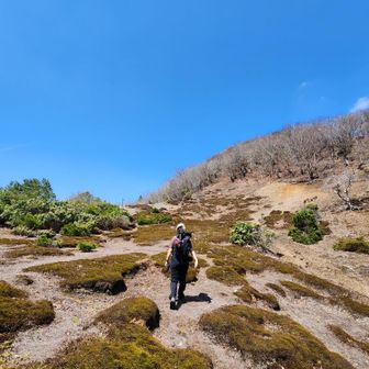 きゃのんちゃん✨💙