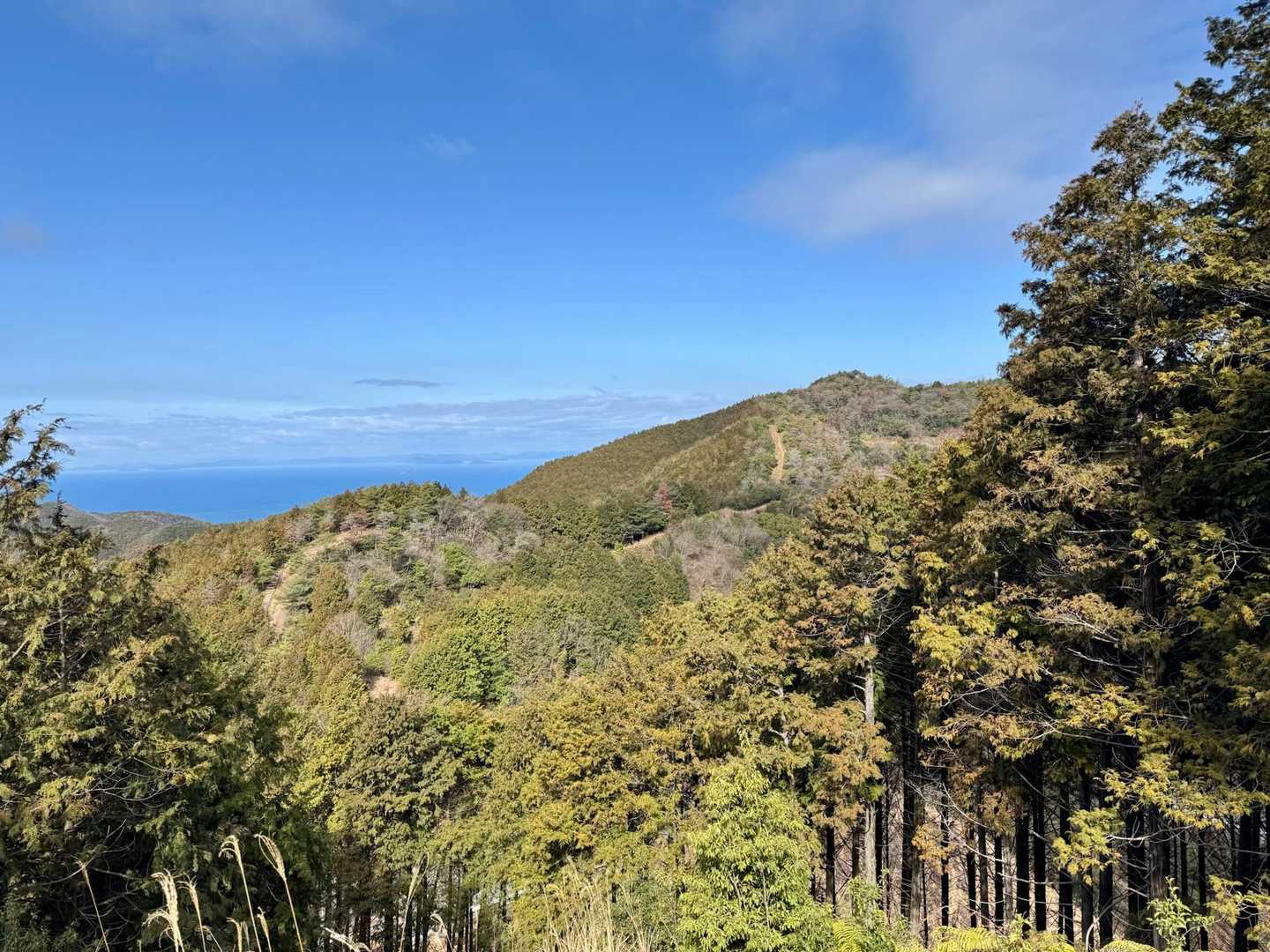 大谷山