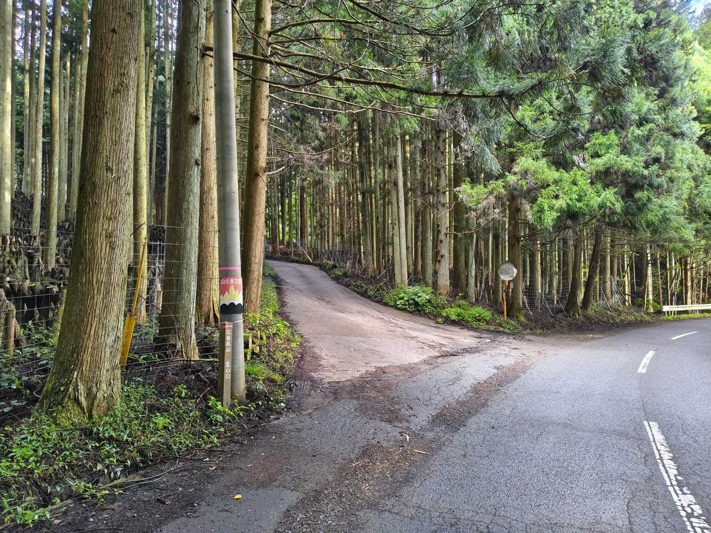 駐車地点から約400mほど湯平側に進み、ここを左に入ります😘