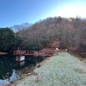 二十丁山登山口。
溜池前を通って右の薮道を登って行く。
かなり急で、木🌲につかまりながら四苦八苦。
落ち葉で滑りやすい。
いきなりキツイぞ〜。手加減してくれ〜😅
