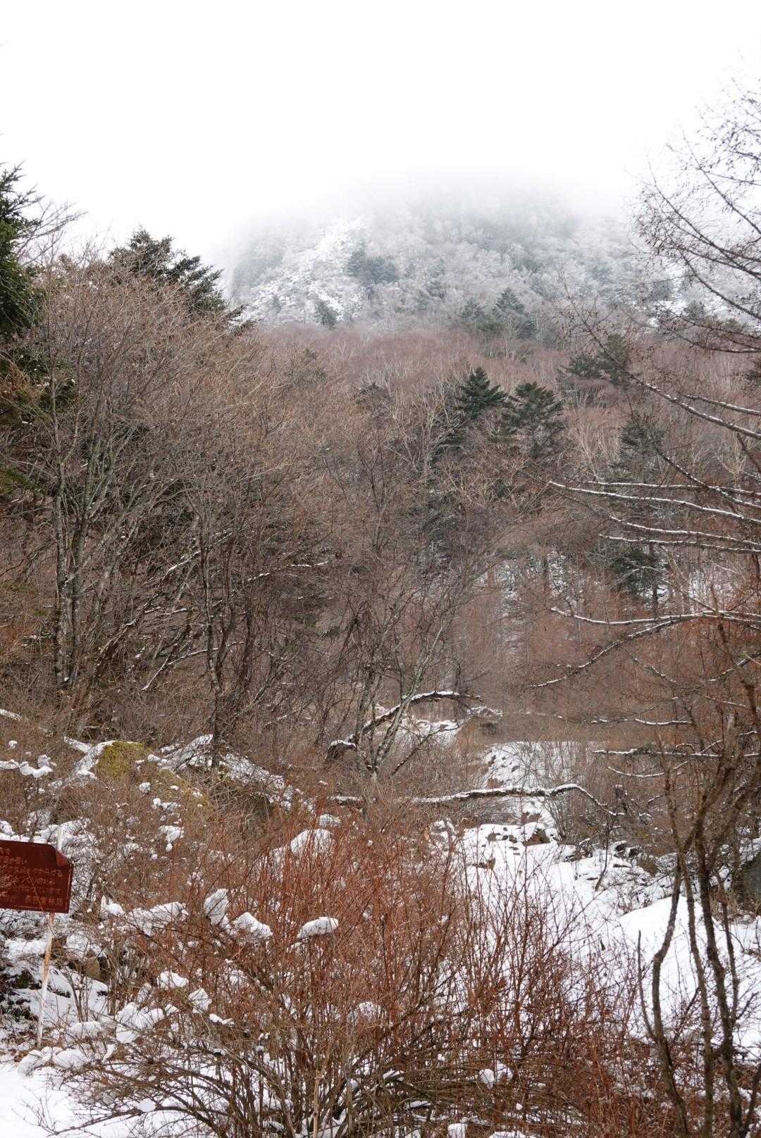 寒々しい景色