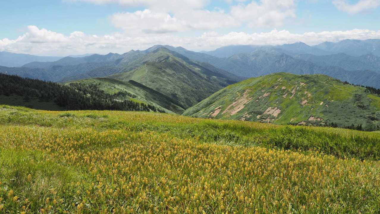 巻機山、夏空の夫婦登山 の写真 20