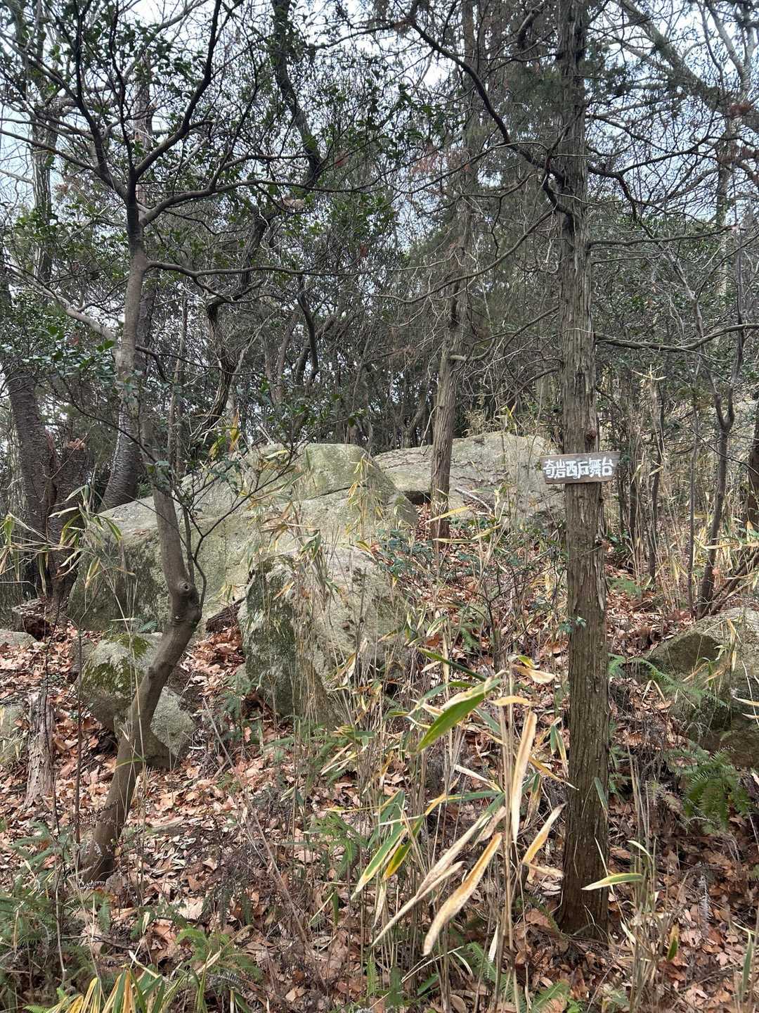 火ノ山 往復コースの写真