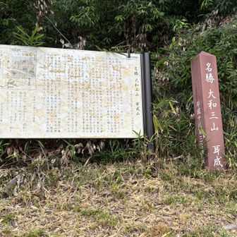 すぐに登れてしまうほど低いので、山を回って遠回りする。