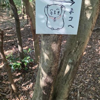 表示あり。