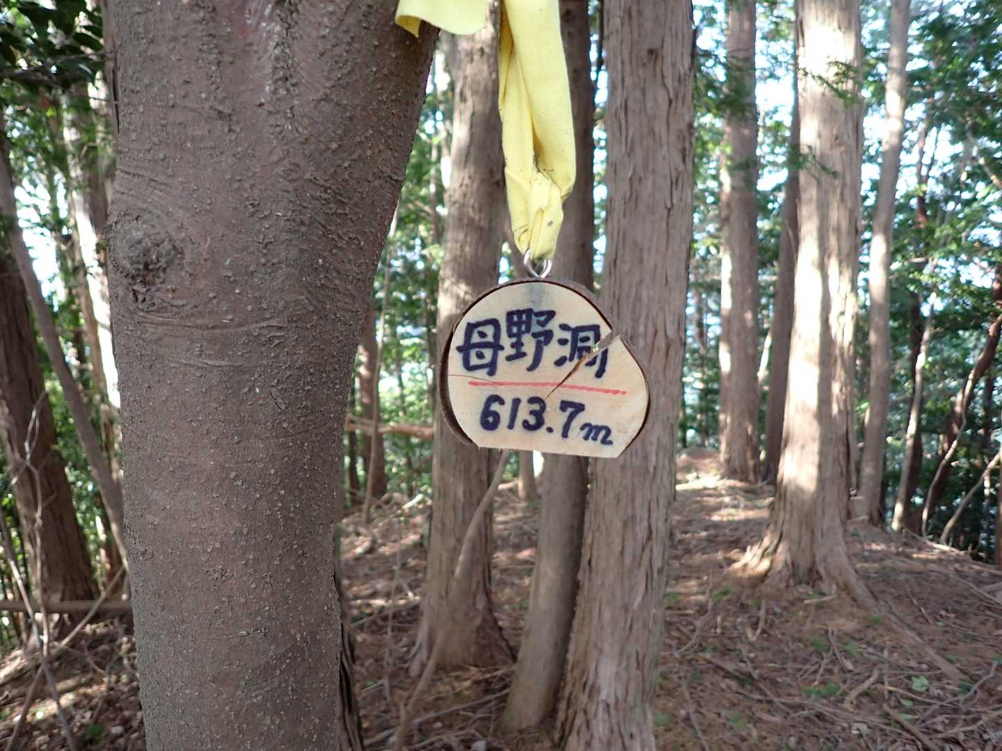 ３座目、母野洞