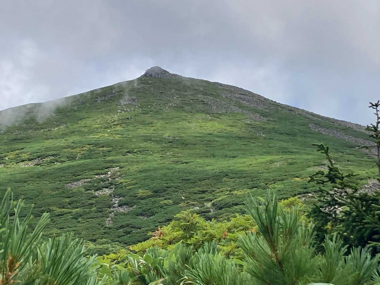 美瑛富士⛰️