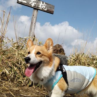 『三本杭』登頂🚩