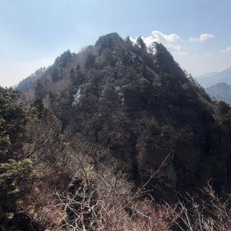 大日山から稲村ヶ岳⛰️