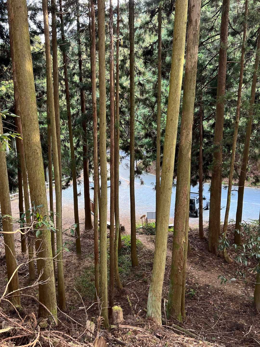 お疲れ山でした😊