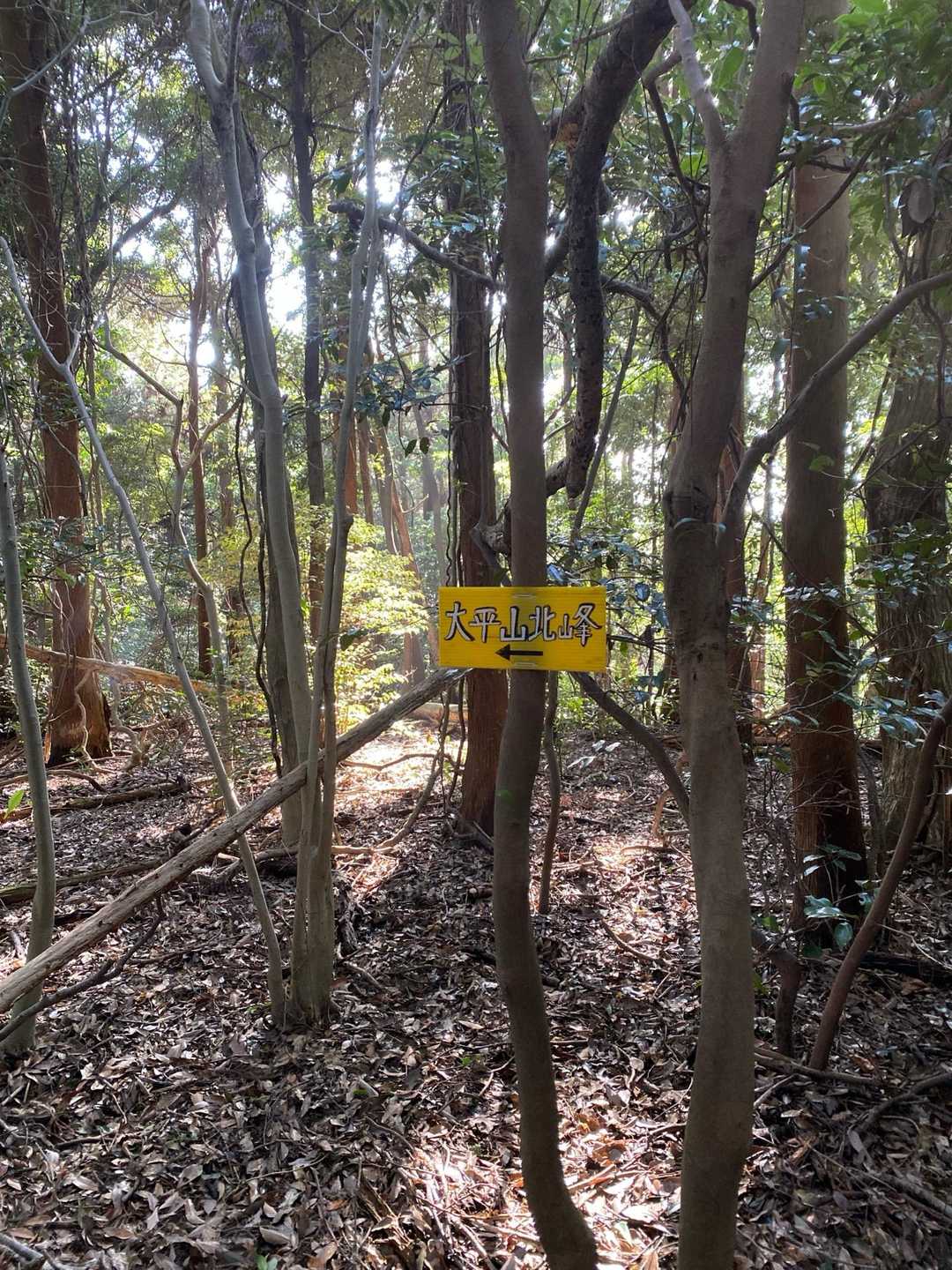 看板なかったら、迷子やね😅
