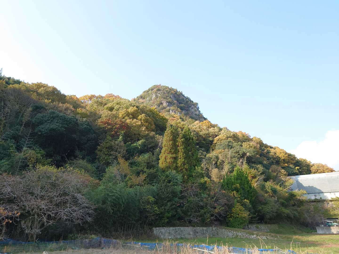 新高山 往復コースの写真