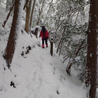 今度こそ、下山