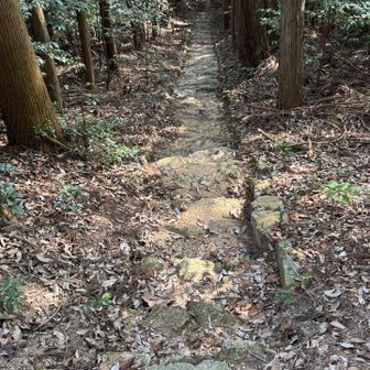 階段の下り
見えませんな（笑）