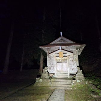 鈴虫の音色が響く鳥坂神社
