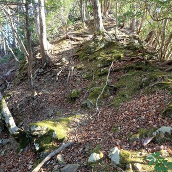 ガタクリ山頂へのアプローチ