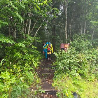 げざ〜ん🙌
ユートピア登山時とほぼ同じ📲不具合発生。
下山する頃に復活🤣

皆も本当に良く頑張ってくれました。有意義なトレーニングに成って良かったって言葉に少し救われる!!それにしても約7～8割方藪🍀🌿の海での平泳ぎ(kｻﾝﾉﾊﾟｸﾘ🤭)
自由形🏊の練習にも成ったかな🤣

こんな険しい道を本峰から45分足らずで下山していた過去の自分が信じられな～い!!あれから4年経ったんだ😅WC⚽️

狩払いすればアスレチック感在りの変化に富んだ楽しい登山道なんだけどなぁ～‼️特に、山頂付近の岩場、絶景とも圧巻です。