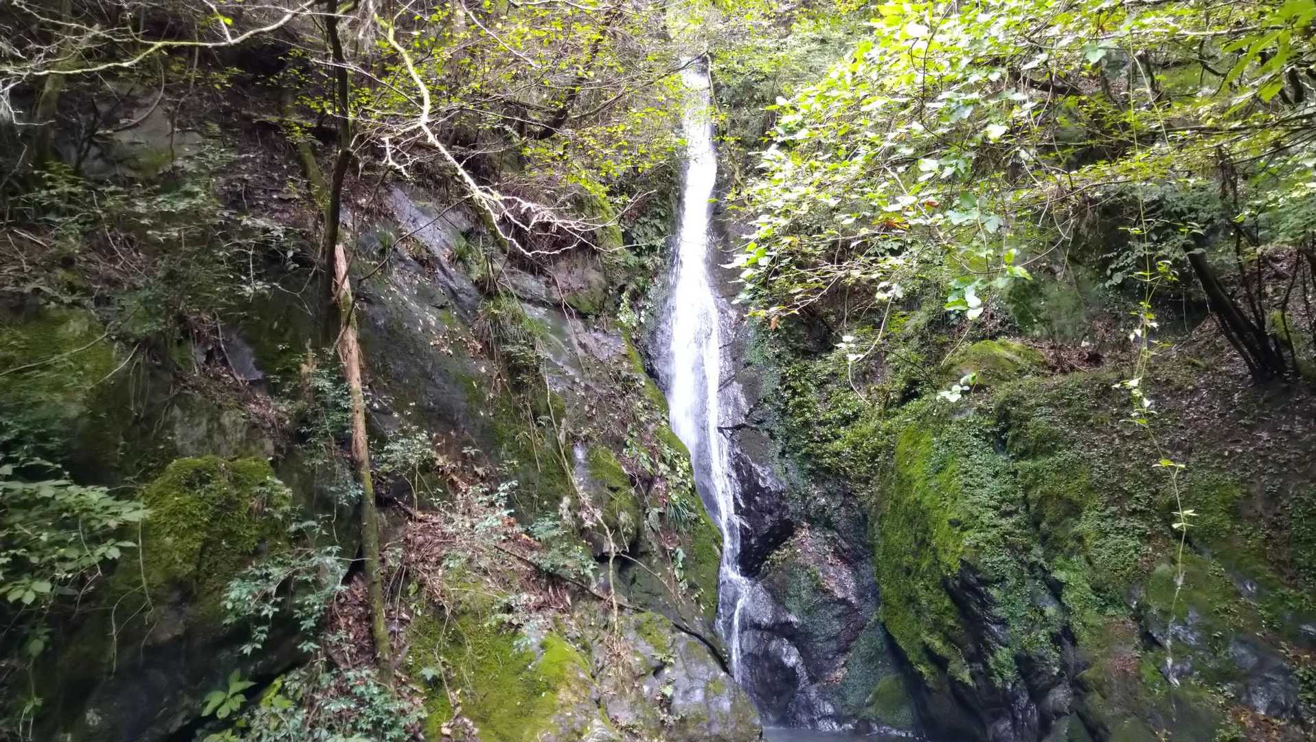 大滝-大岳山 往復コースの写真