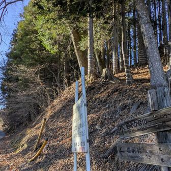 御荷鉾スーパー林道林道に下山する
後は林道15分で🅿️

👨‍⚕️「楽勝やな」
👩‍⚕️「えがったー」

スーパー林道は12/10から閉鎖とのこと
ギリでしたね
※この先県道R71富岡線は路肩に着雪あり❄️
標高が低くなるほど道幅も狭く
🚙「おもしれー」
😅こらこら

