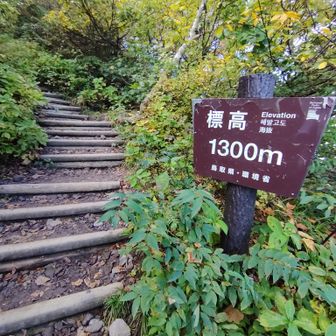 奇麗な階段ｗ