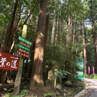 万葉の道から登山道へ