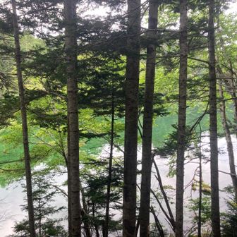 次郎湖まで戻る
写真では表せない

2回転んだけど無事げざ〜ん⛰️

雨☂️にも雷⚡︎にも当たらず、よい山行ができました⛰️