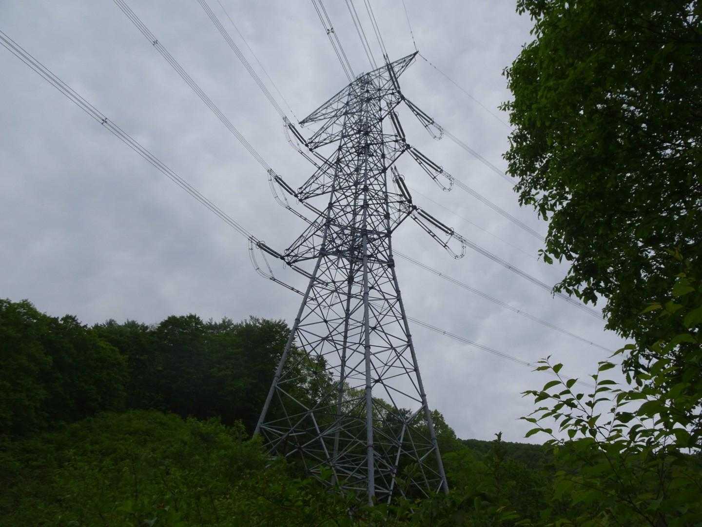 樽石山 往復コースの写真