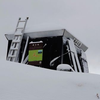 城山山頂  ＼(^o^)／