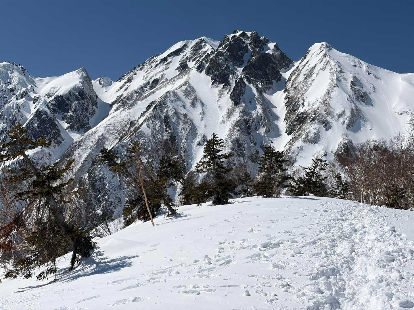 地蔵の頭-二ノ背髪-小遠見山-五竜登山口-中遠見山-大遠見 縦走コースの写真