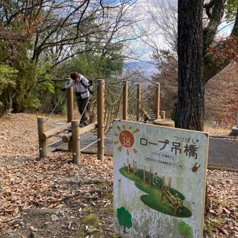 登山道離れて、キャンプ場に、入ってアスレチックで遊ぶぴんちゃん😊