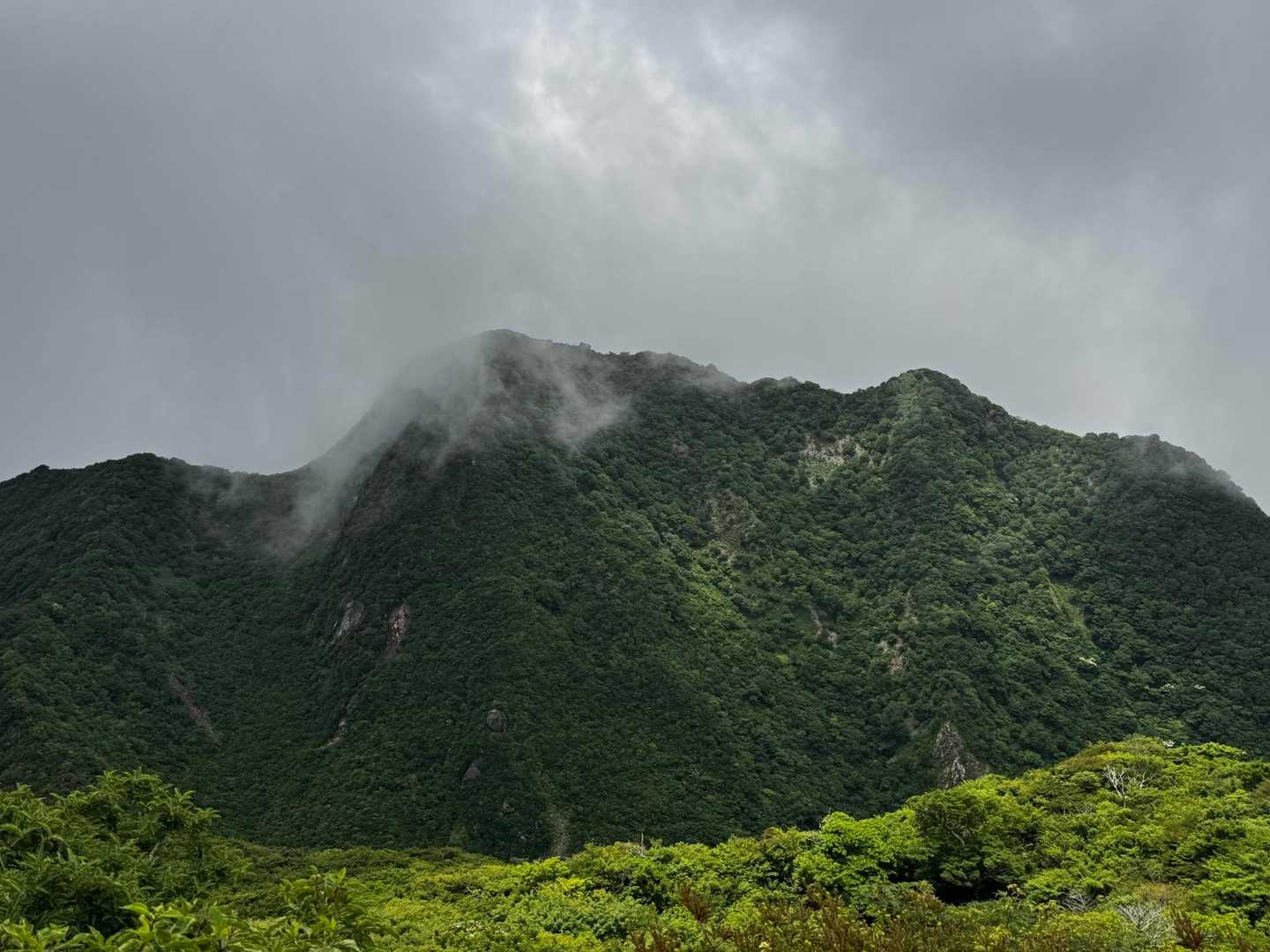 国見岳は…うーんまだモヤってる🌫️
立ち寄るかの判断はまだ出来ない😅