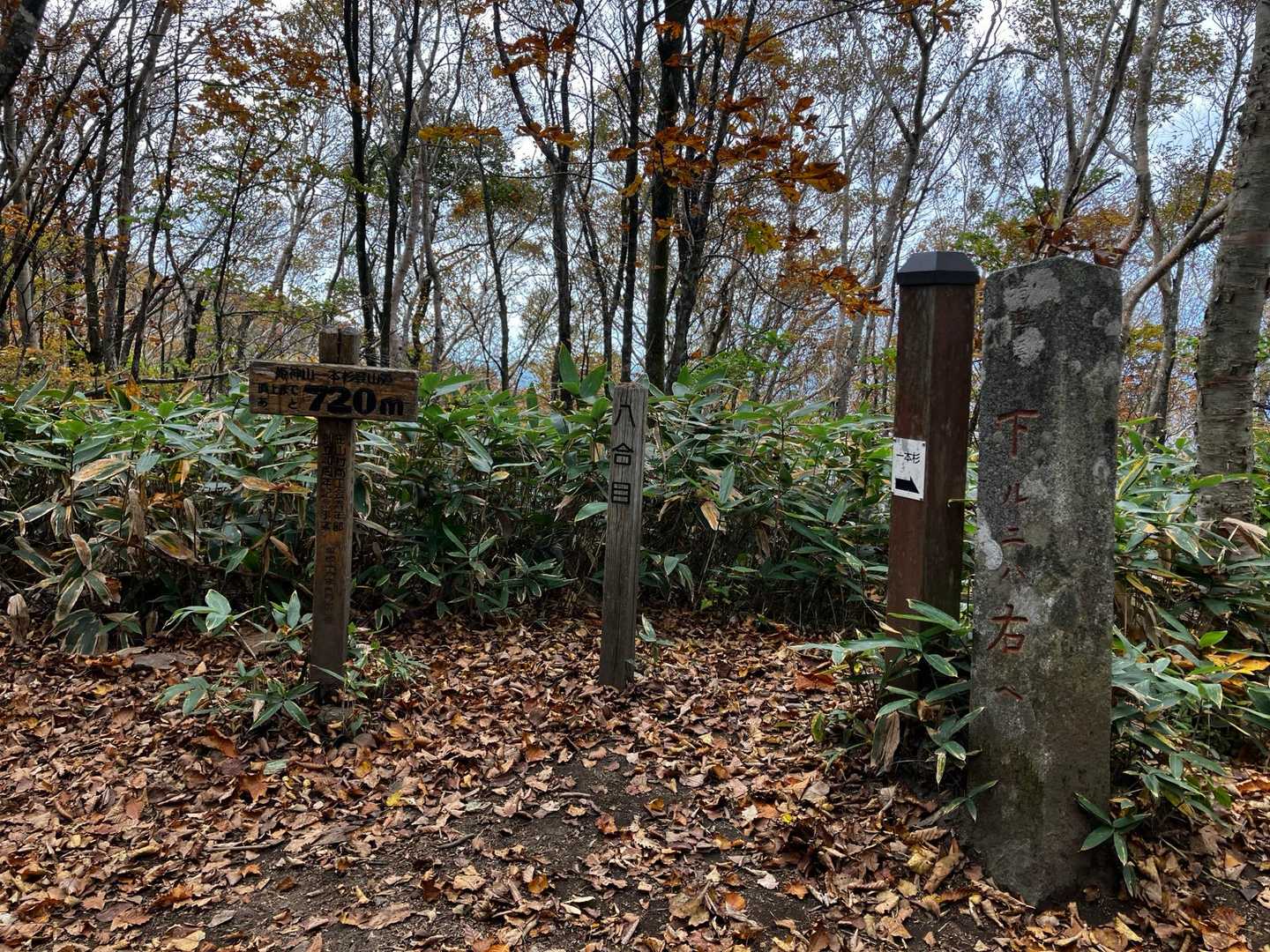 距離が短い分傾斜はキツく感じるけど、足運びしやすく落ち葉🍂絨毯が優しく感じる