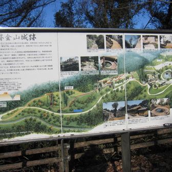 史跡金山城址全容