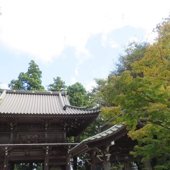 薬王院
紅葉が始まってますね