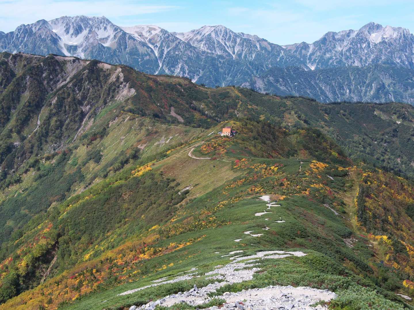 爺ヶ岳から種池山荘へ向かう稜線の紅葉とハイマツ、向こうに見える立山の山並みが最高