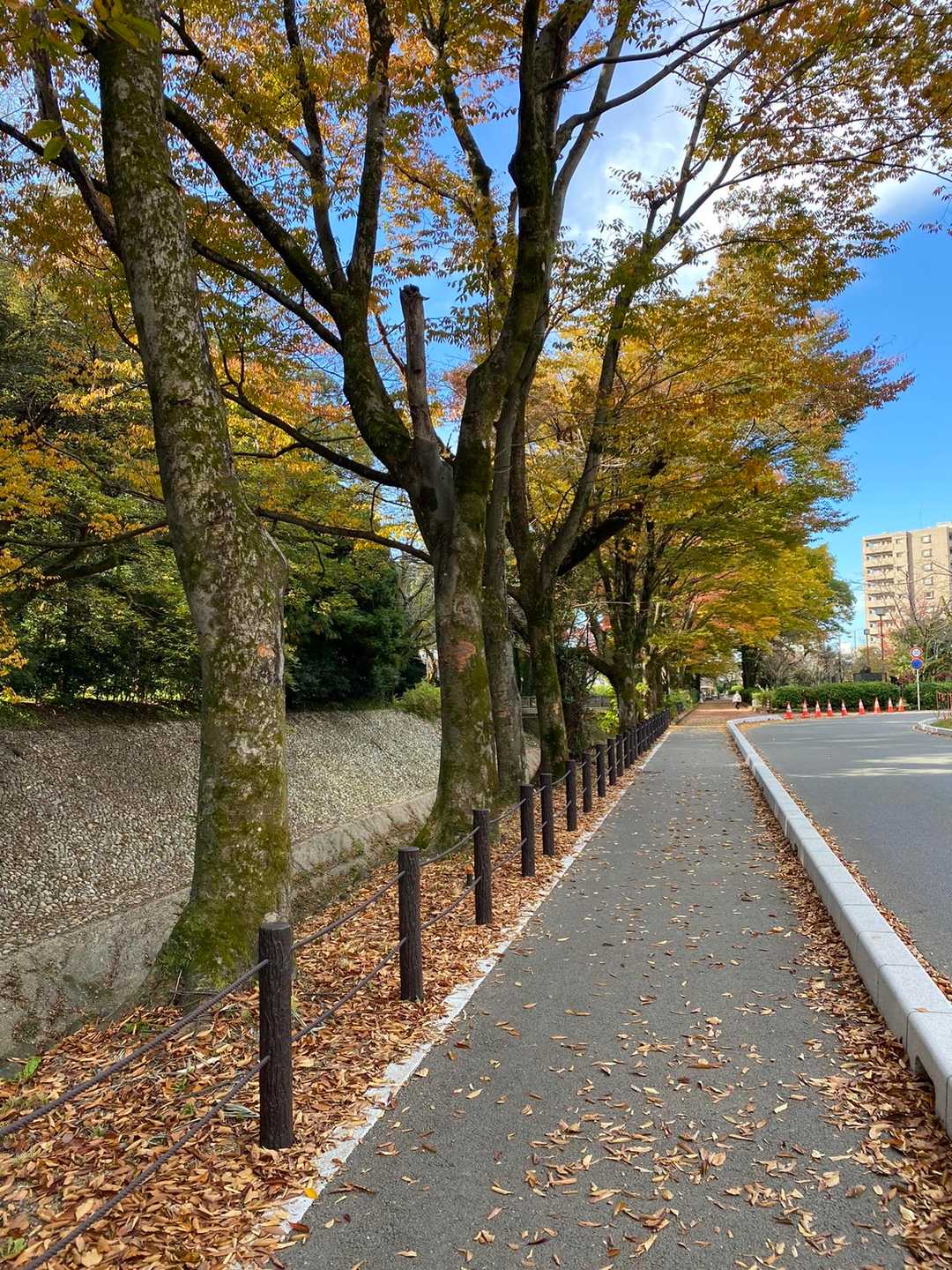 無料駐車場に車停めて登山口へ=͟͟͞͞ (    ˙꒳​˙ )
お散歩に良さそうな道💓💞