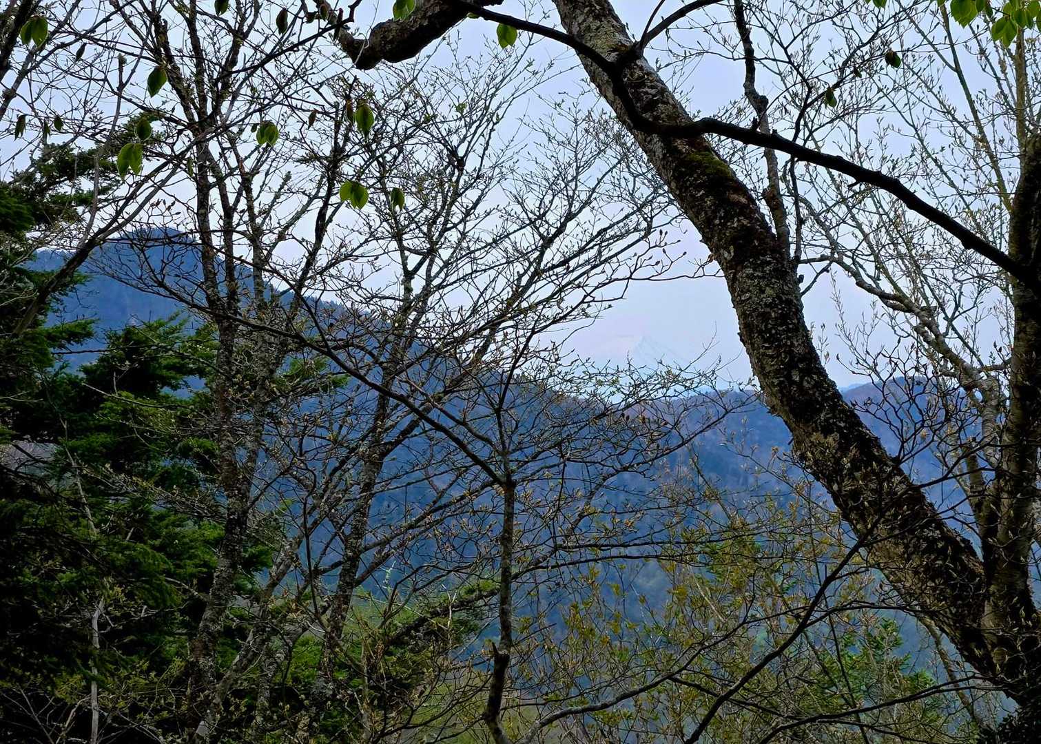 左に目指す【雲取山】そしてその右にうっすらと【富士山🗻】