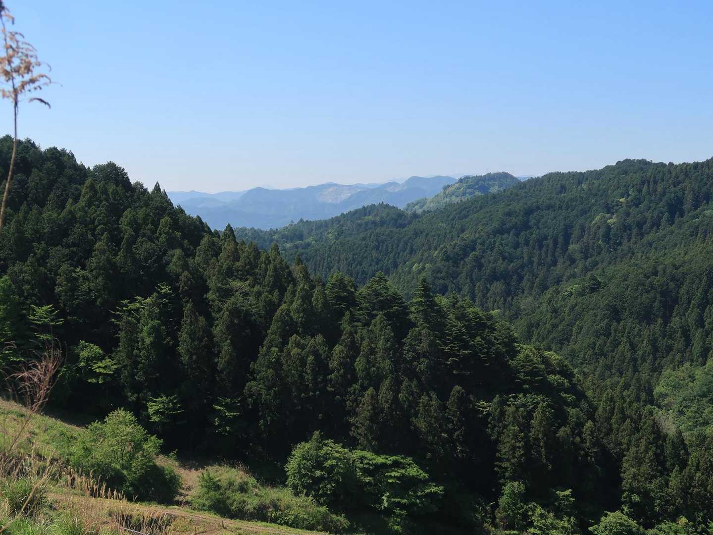こちらはあじさい山の方かなぁ。
そろそろあじさいの季節だね💠🌿‬ ܸ