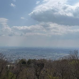 展望台からの眺め。
大阪空港から離陸した飛行機も見れましたけど、写真に撮るのは難しい✈️