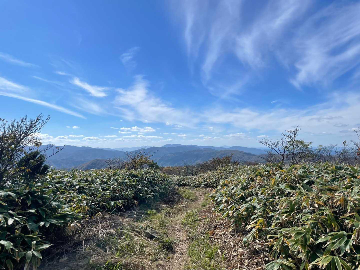 下山しますよー😄
