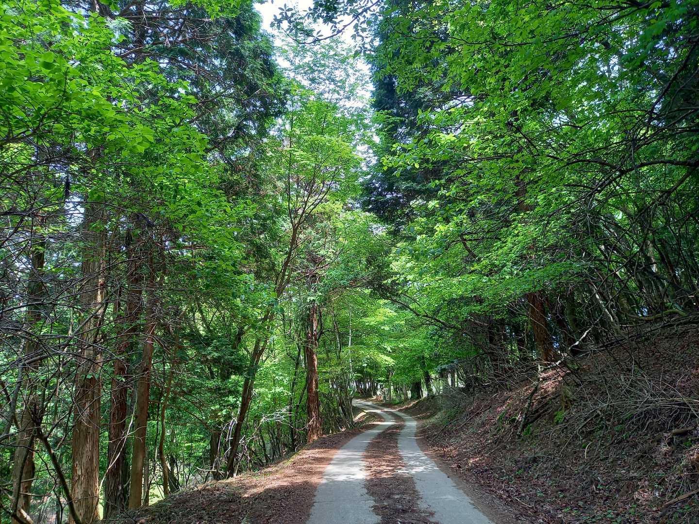 高越山登山口-高越山-高越寺 往復コースの写真