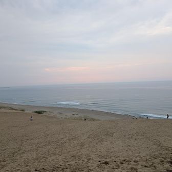 登りきりました！上から眺めると海が見えます。少し夕焼けになって綺麗な景色です。👀