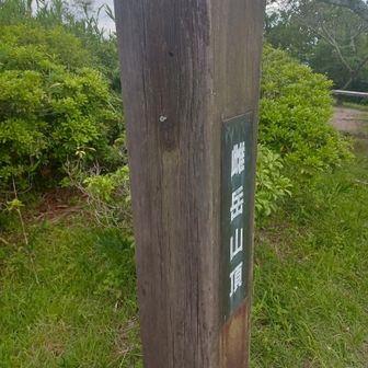 温度計が無い！