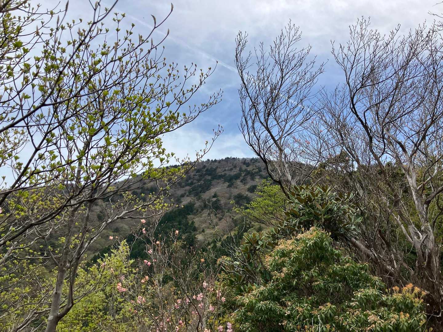 大座礼山登山口-井野川越-大座礼山-大田尾越 周回コースの写真
