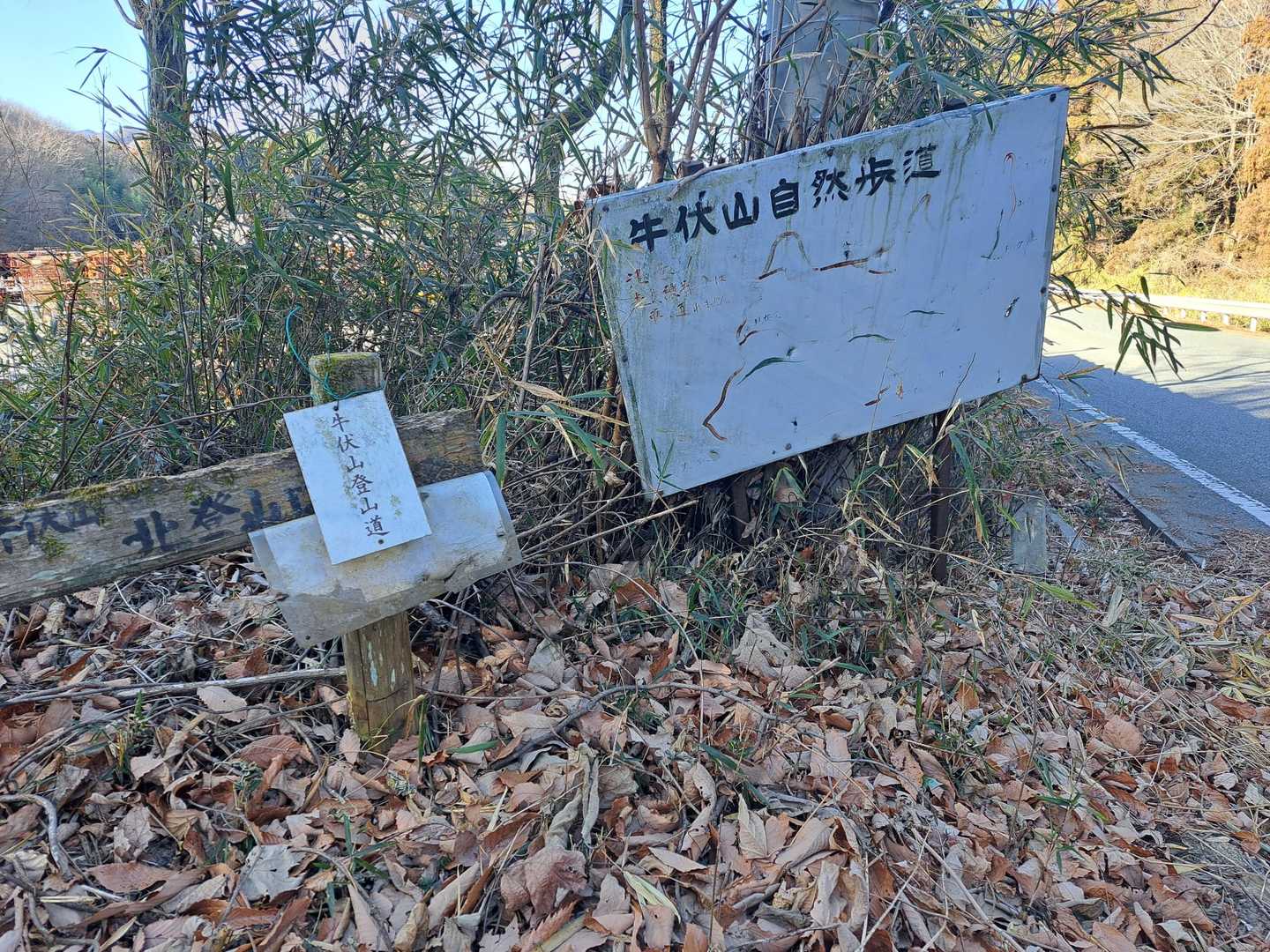 北登山口から入山🚶‍♂️