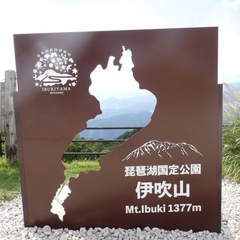 楽しかったです
ありがとうございました！